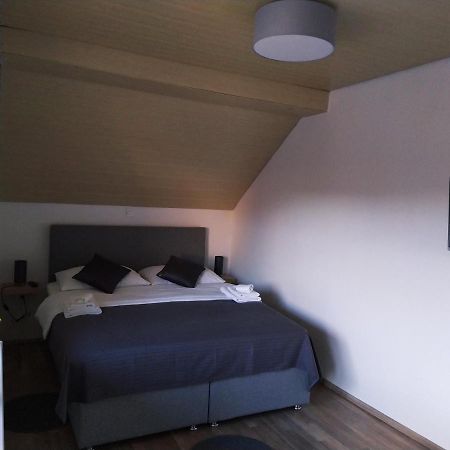 Apartment Trubarjeva33, Near Ljubljana, Free Parking Velike Lasce Екстер'єр фото